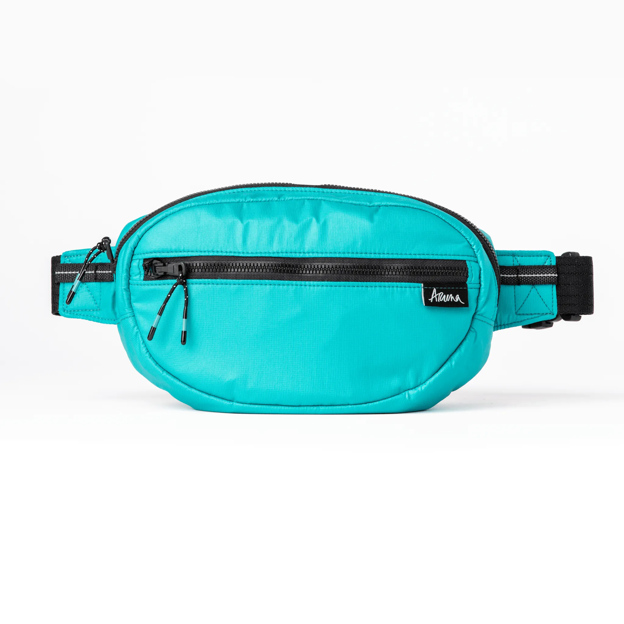 'Almost Perfect' Soniya Belt Bag