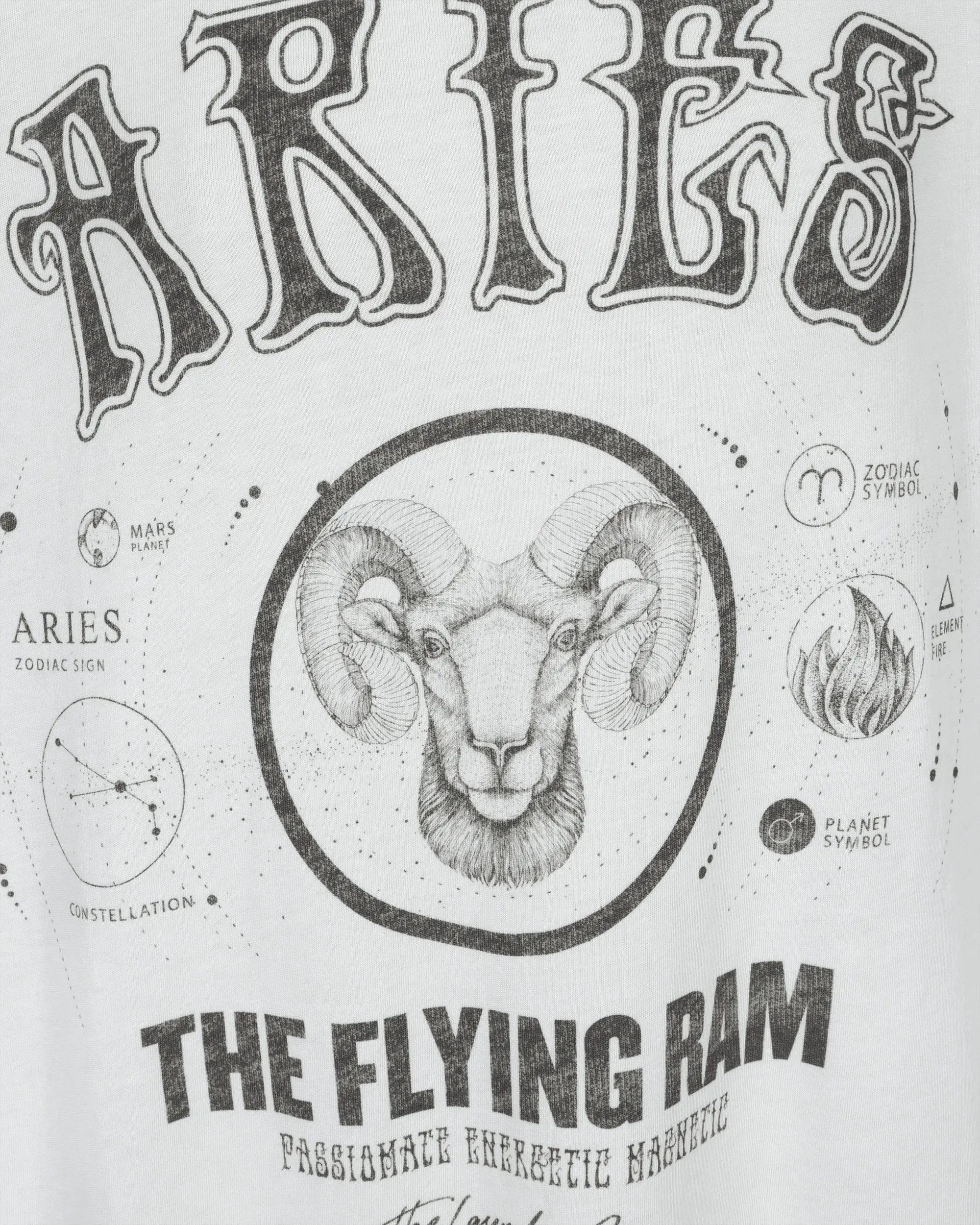 Aries Oversized T-shirt