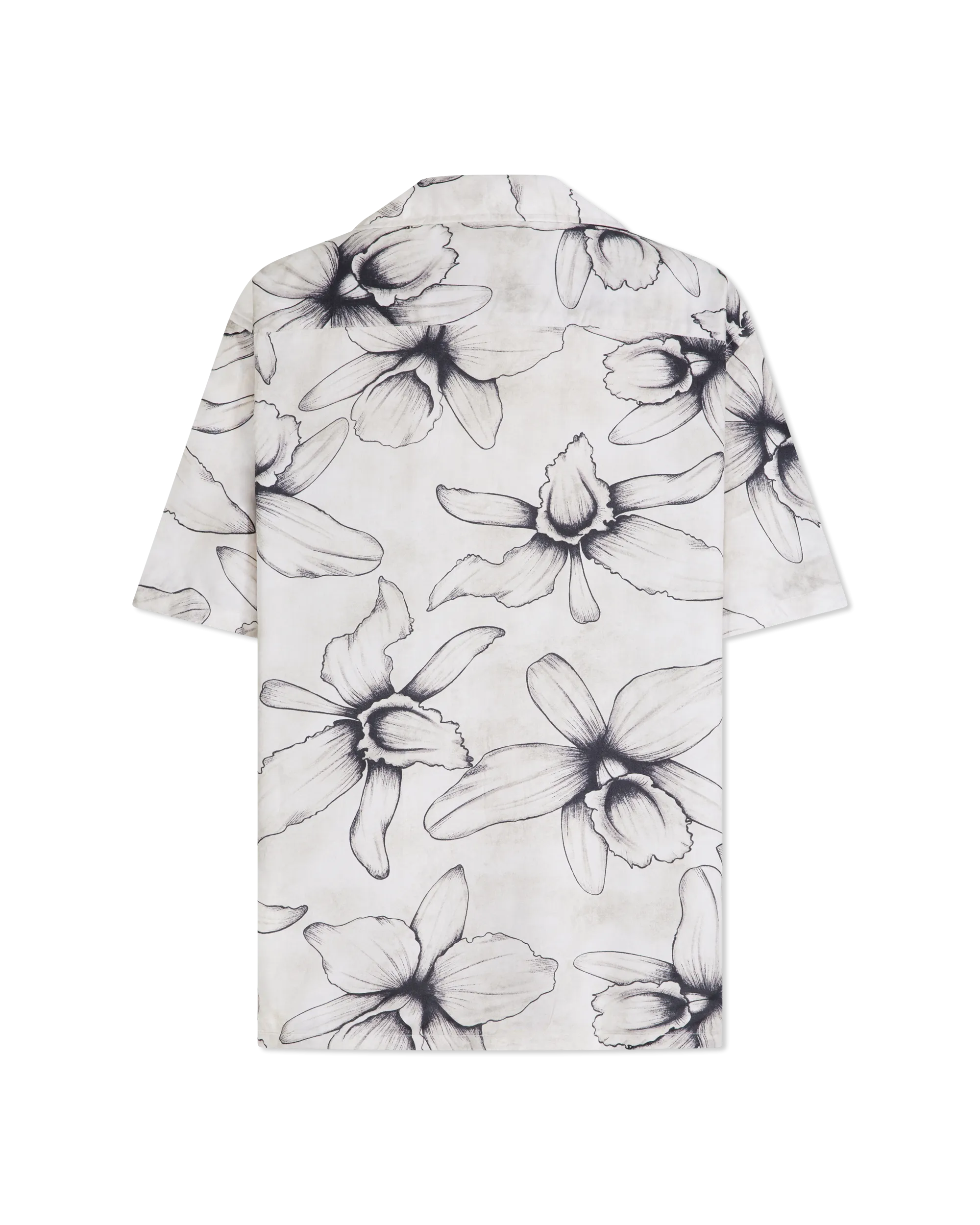 Dan Camp Collar Shirt