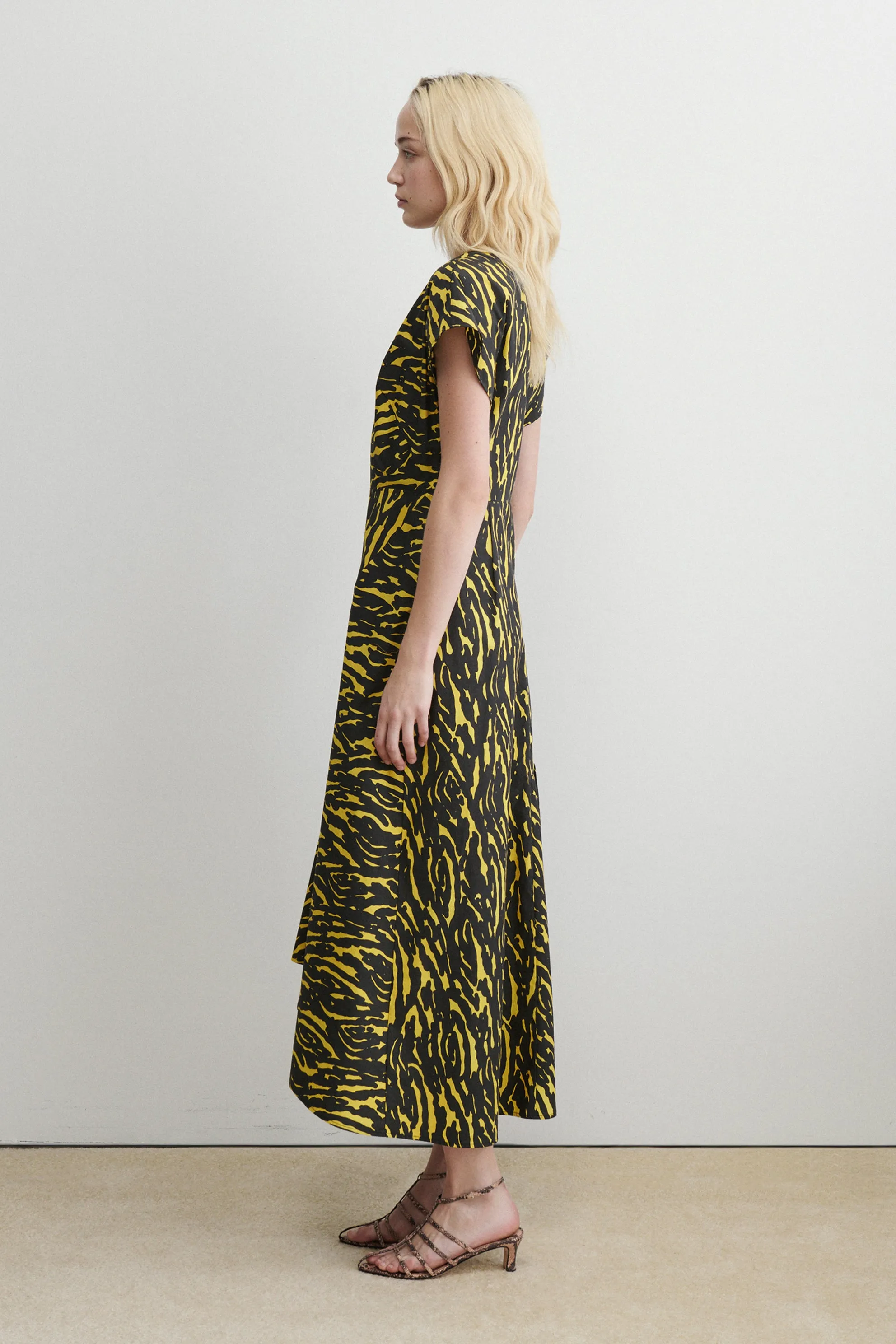 Steady Dress