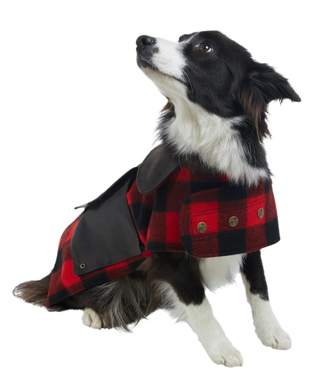 Swanndri Classic Wool Dog Coat